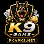 K9 Game