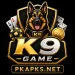 K9 Game