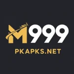 M999 Game