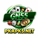 GN55 Game